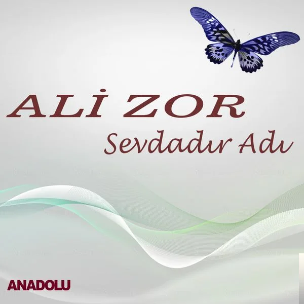 Ali Zor - Gardaş Deyi