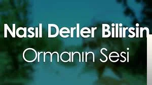 Nasıl Derler Bilirsin - Bir İyilik