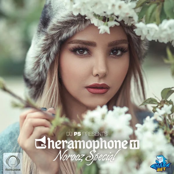DJ PS - Gheramophone 11