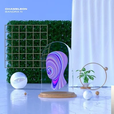 Sandra N - feat Veo-French Boy Habibi