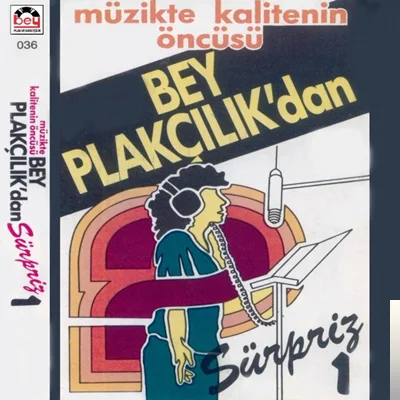 Gülhan Pars - Sevdim Ama Sevilmedim