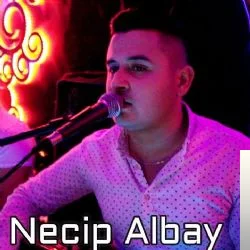 Necip Albay - Koleksiyon