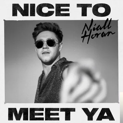 Niall Horan - Too Much To Ask