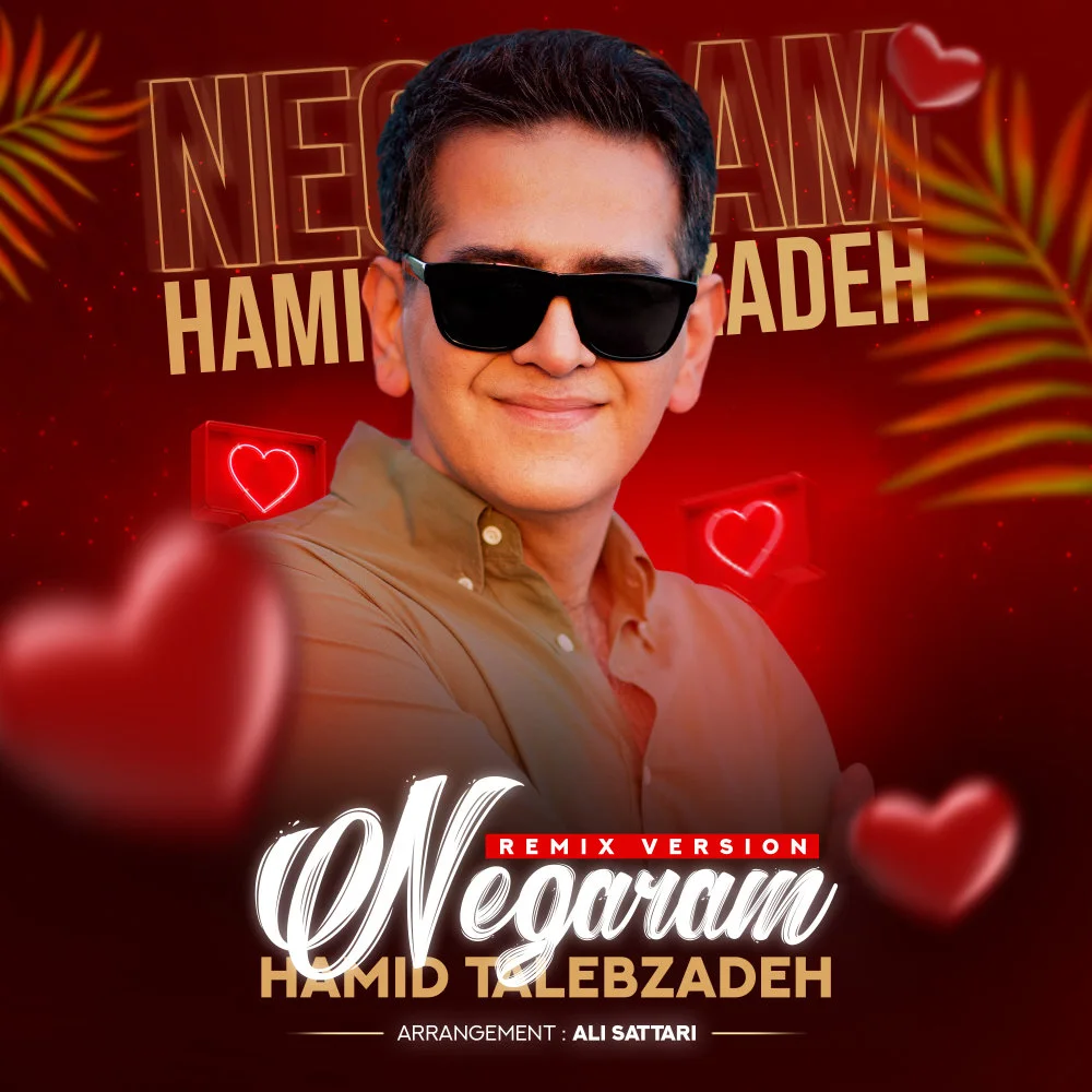 Hamid Talebzadeh - Negaram (Remix)