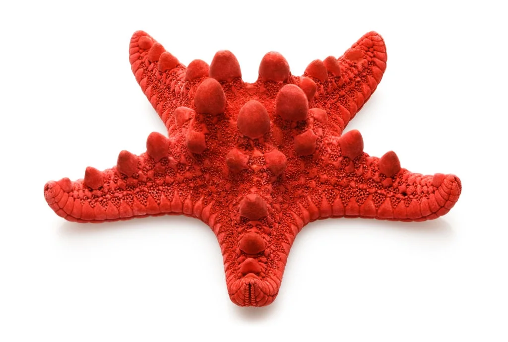 1theK - G Dle