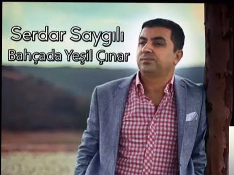 Serdar Saygılı - Unutamadım