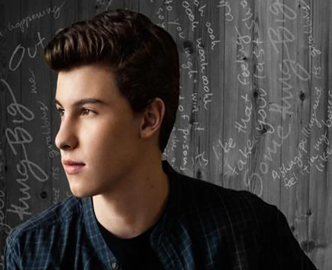 Shawn Mendes - feat Camila Cabello-Senorita