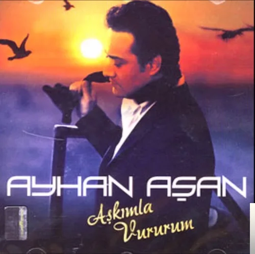 Ayhan Aşan - Yerine Sevmek Yok