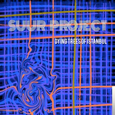 Suur Project - Winter in the Island