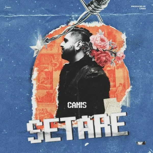 Canis - Setare