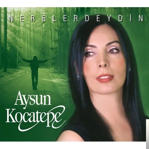 Aysun Kocatepe - Çekip Gitmek Lazım