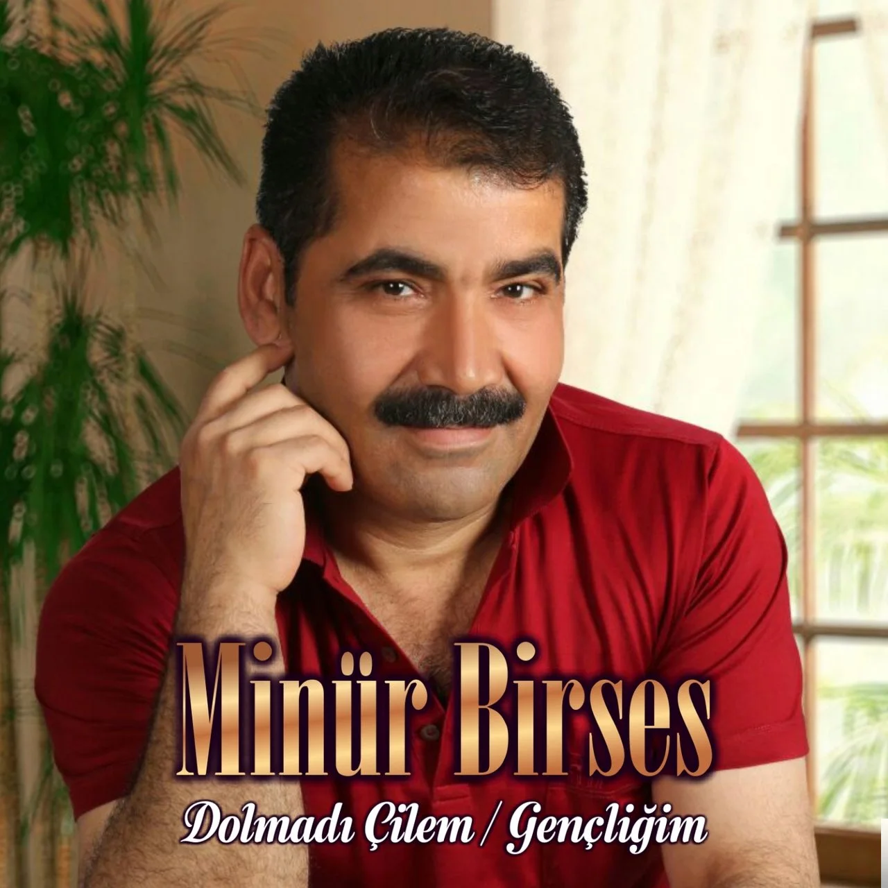 Minür Birses - Çıkıversem Şu Dağlara