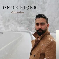 Onur Biçer - Dost Bildiğim Ele Döndü