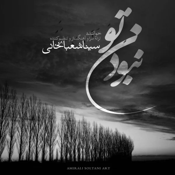 Sina Shabankhani - Naboodane To