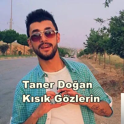 Taner Doğan - Özet