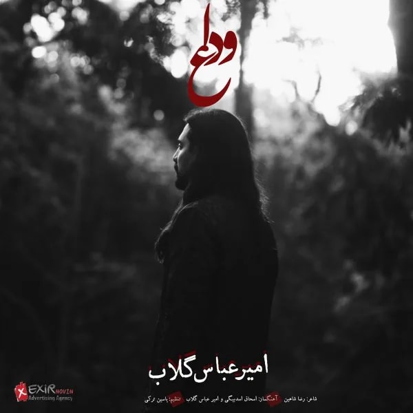 Amirabbas Golab - Vedaa