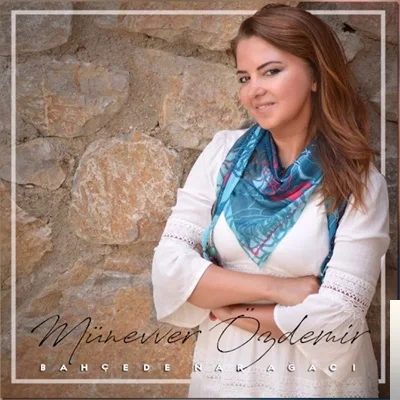 Münevver Özdemir - Yazımı Kışa Çevirdin