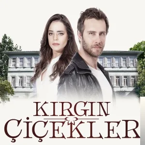 Dizi Film Müzikleri - Kırgın Çiçekler-Gözyaşı