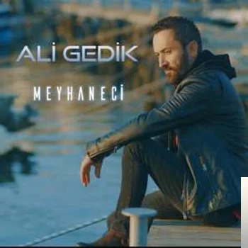 Ali Gedik - Telmaşa