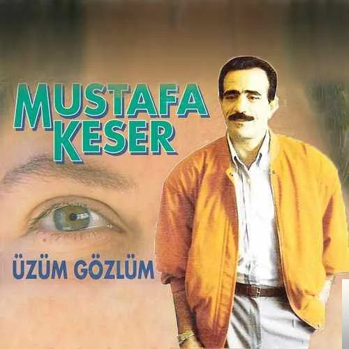 Mustafa Keser - Seni Sevdim Bir Gül Gibi