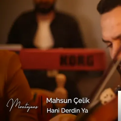 Mahsun Çelik - Dılemın