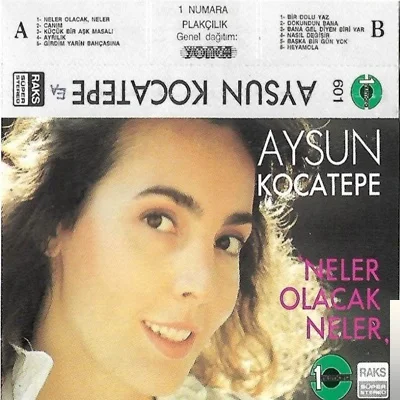 Aysun Kocatepe - Nasıl Değişir