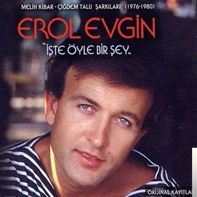 Erol Evgin - Yabancı