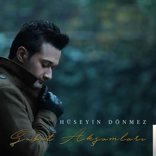 Hüseyin Dönmez - Şubat Akşamları