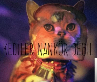 Anıl Emre Daldal - Kediler Nankör Değil