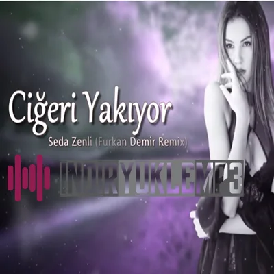 Seda Zenli - Ciğeri Yakıyor