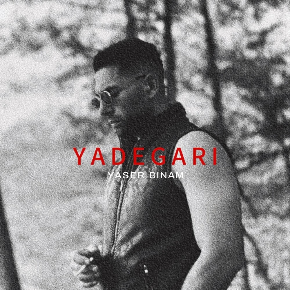 Yaser Binam - Yadegari