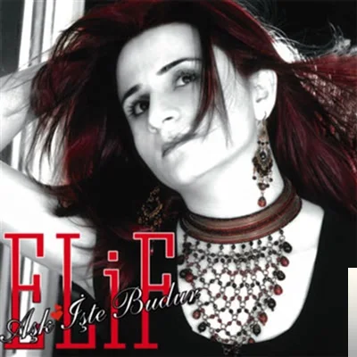Elif Koç - Aldılar Seni