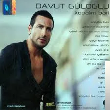 Davut Güloğlu - Çayır Biçerim