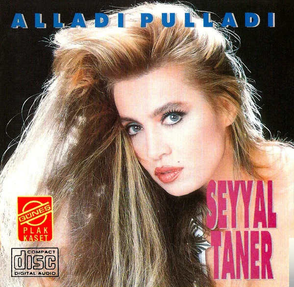 Seyyal Taner - Bir Kış Daha Olur