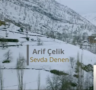 Arif Çelik - Sevda Denen
