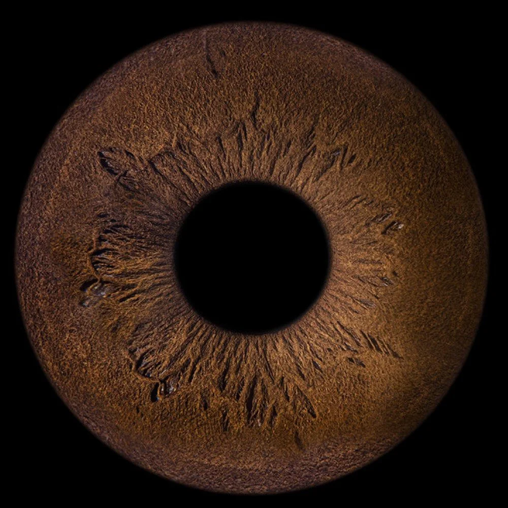 Naghib Shanbehzadeh - Black Hole