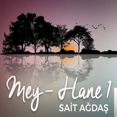 Sait Ağdaş - Cemilem