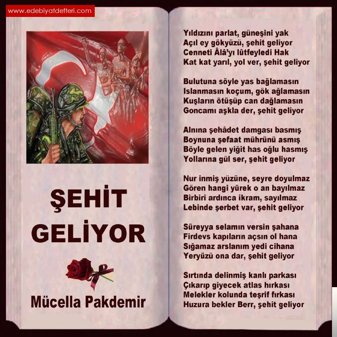 Mücella Pakdemir - Beklerim