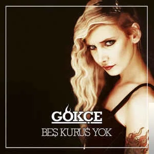 Gökçe - Şehir
