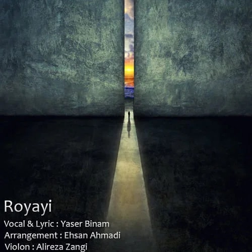 Yaser Binam - Royayi