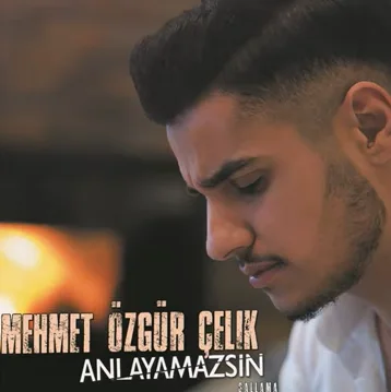Mehmet Özgür Çelik - Anlayamazsın