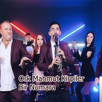Ork Mahmut Kirpi - feat Salih Çikita-Bir Numara