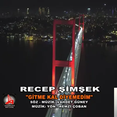 Recep Şimşek - Gitme Kal Diyemedim