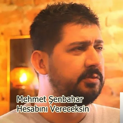 Mehmet Şenbahar - Hesabını Vereceksin