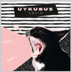 Serin - Uykusuz