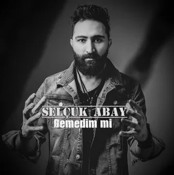 Selçuk Abay - Demedim mi