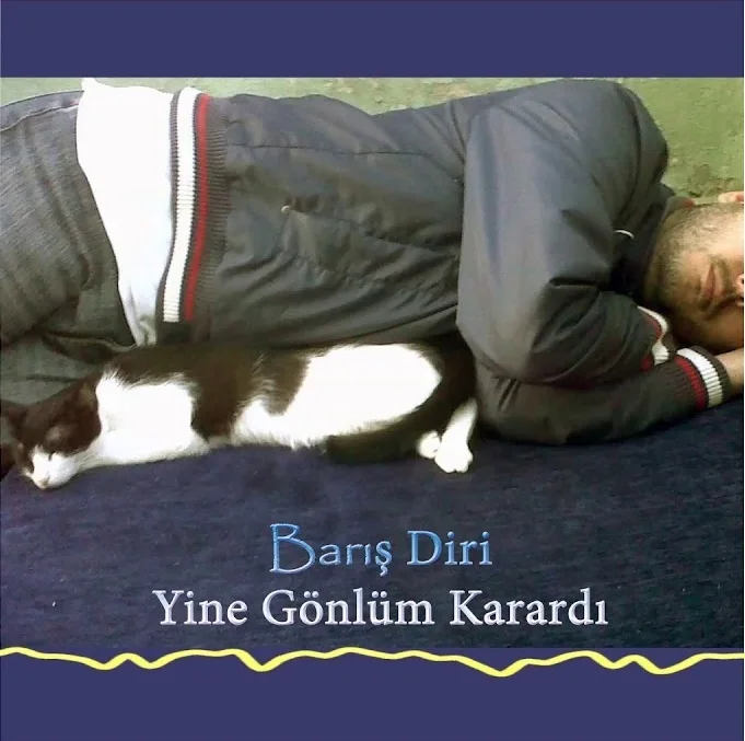 Barış Diri - Yine Gönlüm Karardı