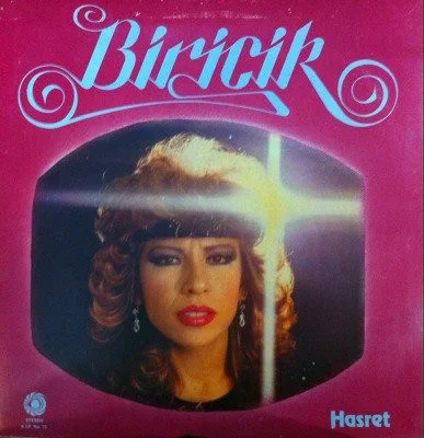 Biricik - Nerden Bileceksin