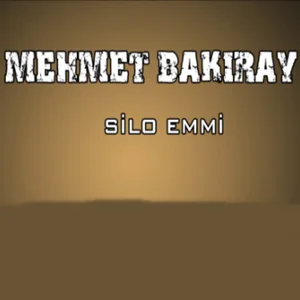 Mehmet Bakıray - Noldu Sana Böyle