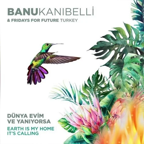 Banu Kanıbelli - Renkler